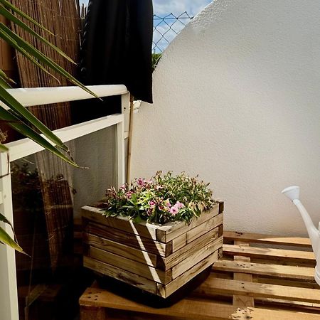 Datiler Vybdenia Exteriér fotografie
